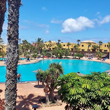 Tamarindo 41, Big Pool,Next To The Dunes. 科拉雷侯 外观 照片