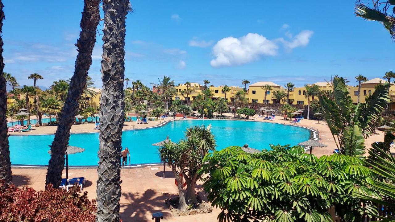 Tamarindo 41, Big Pool,Next To The Dunes. 科拉雷侯 外观 照片